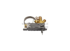 Thermostat 2412190205