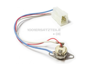 Thermostat 818731204