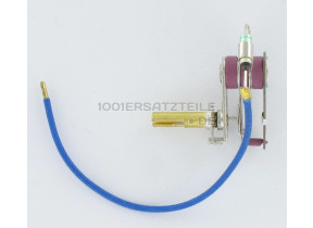 THERMOSTAT + SICHERUNG 500583474