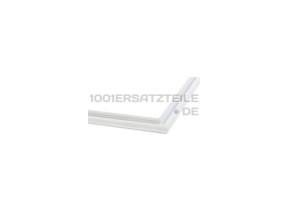 Türdichtung 00236273