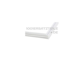 Türdichtung 00243945