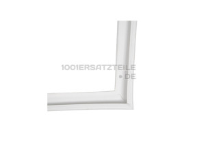 TuRDICHTUNG WEISS 50117829007