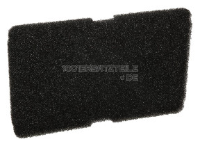Verdampfer filter schwamm 2964840100