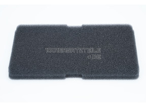 Verdampfer filter schwamm 2964840200