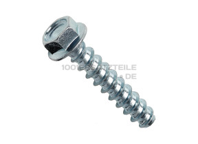 Zugschraube 41021829