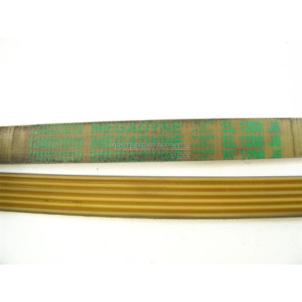 1200J6EL POLY-V-RIEMEN