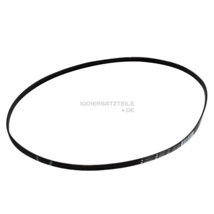 5pje drive belt l1195mm
