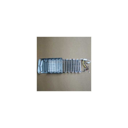 Assy evap fre:es-pjt 09,al,230v,50hz,300