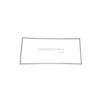 C00089612 DICHTUNG TUER (554X1303)