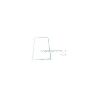 C00117019 DICHTUNG MAGNETISCH T?R UNTEN