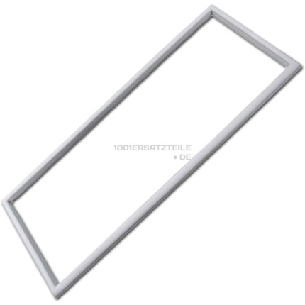 C00117019 DICHTUNG MAGNETISCH T?R UNTEN