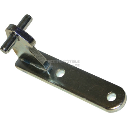 C00174698 ZENTRALSCHARNIER SILBER