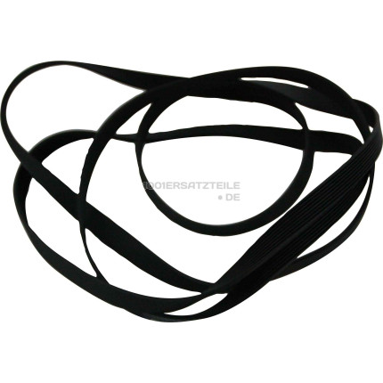 C00300793 1991H8EL POLY-V-RIEMEN