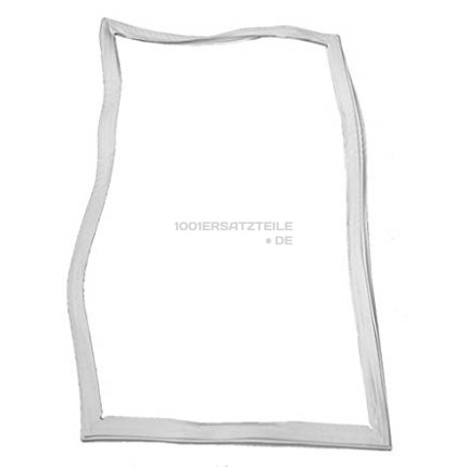 C00320298 MAGNETDICHTUNG
