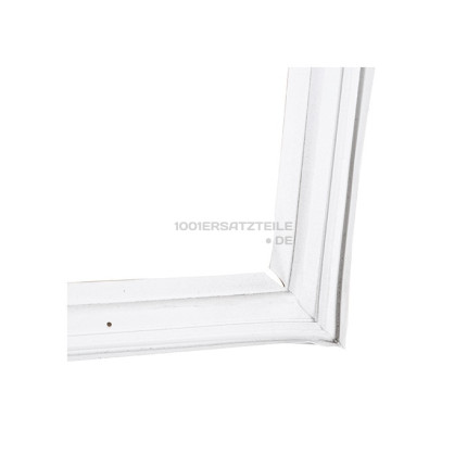 Magnetische dichtung