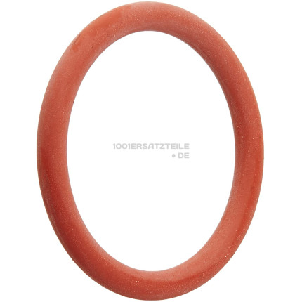 NM01.044 O-RING ORM 0320-40 IN PTFE/FDA, FuR BRuHEINHEIT