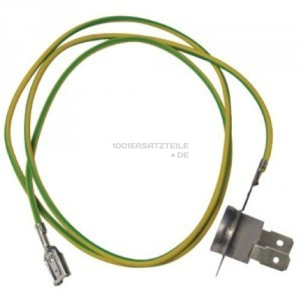 Ntc with cable (l=700 mm)