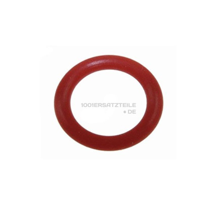 O-ring