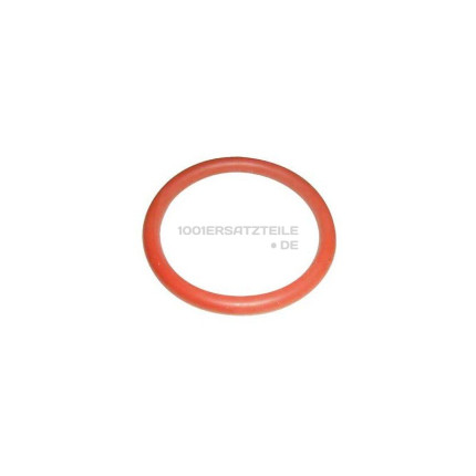 O-ring 6187/dichtung