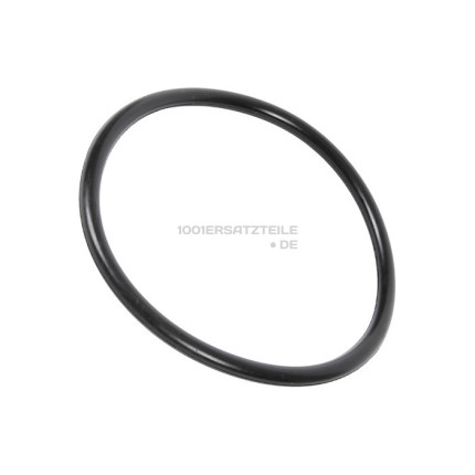 O-ring / sumpfdichtung