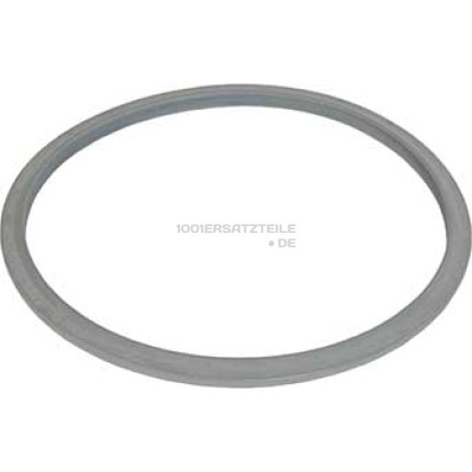 SA- DICHTUNG, DM: 253MM