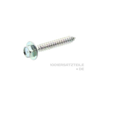 Schraube motor
