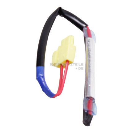 Thermofusible (120v/250v 15a/10a)