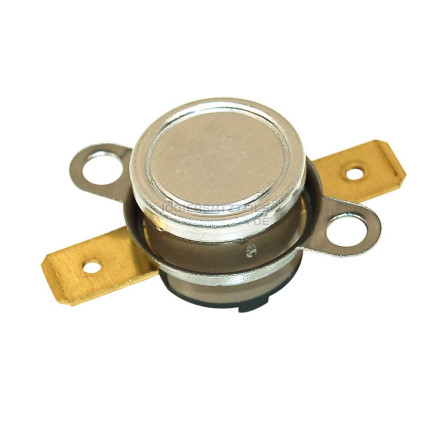 Thermostat 100°c