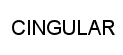 CINGULAR